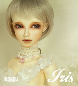 Buddydoll - Iris (Semi Elf)