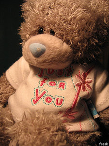 плЮшевый медвеДь =)