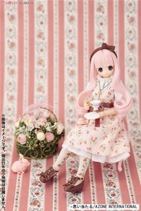 Azone (Pure Neemo) Ex Cute Secret Wonderland Chiika