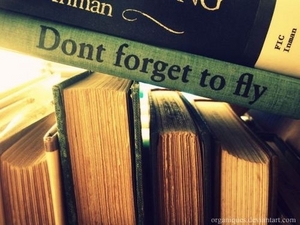 don't forget to fly