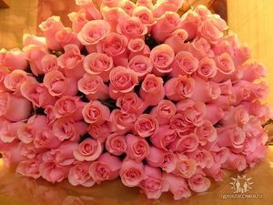 получить 303 розы