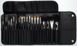 19 Piece Pro Brush Set