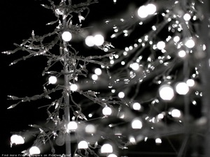 новый год  уж охота !