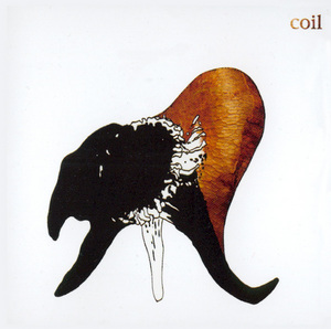 Coil - Black Antlers