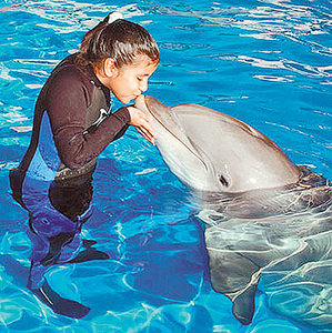 плавание с дельфинами)