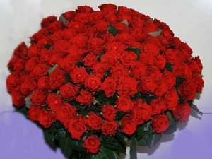 Хочу букет роз!