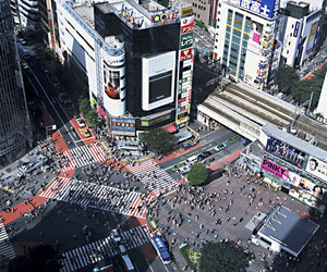 &#28171;&#35895; and &#21407;&#23487; shopping