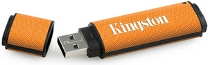 Модуль Памяти Kingston 32Gb (DT150/32GB)