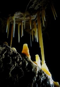 поход на неделю, желательно с посищением пещеры