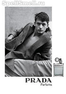 Prada Man