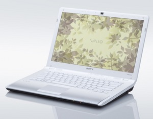 Sony Vaio CW