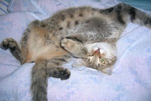 К косметологу,шоколадный массаж, маникюр, спа-педикюр и т.д.