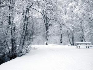 Прогулка в снегопад