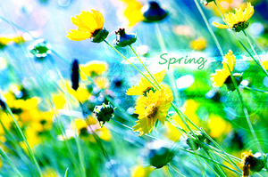Весна