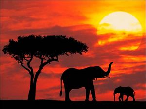 Sunset in Africa