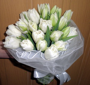 букет белых тюльпанов