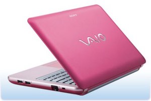 Netbook "Sony vaio"