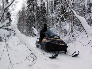 Покататься на снегоходе