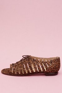 Opening Ceremony  : W4 Gladiator Oxford - Leopard
