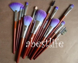 Professional Makeup Brush