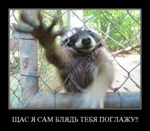 :DD мне всё очень нравится!