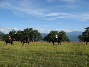 Конный поход