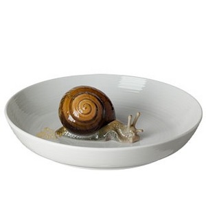 snail dish