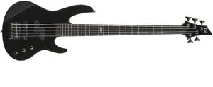 ESP LTD B55