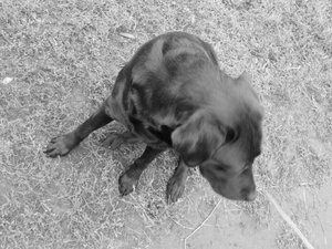 Чтоб рядом была...