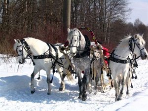 покататься в санях на тройке лошадей =)