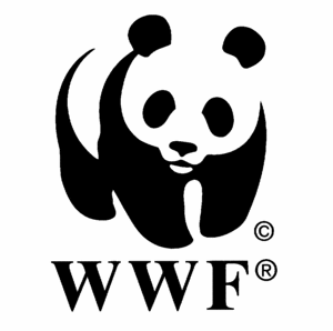 сдать проект для wwf