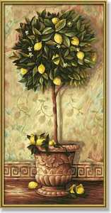 Лимон / лимонное дерево
