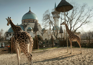 budapest zoo