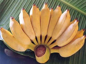 мини бананы