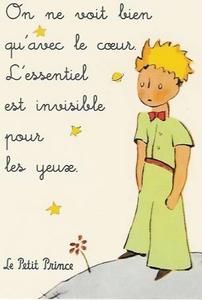 "Le Petit Prince" - Antoine de Saint-ExupЁry, на французском