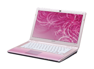 Ноутбук Sony VAIO VGN-NW2MRE/P