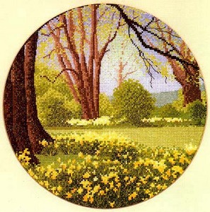 John Clayton Circles Daffodil Wood