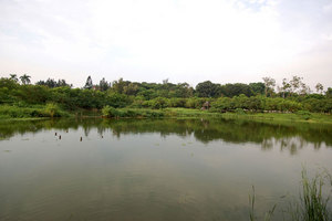 1 day at Niausung Wetland Park