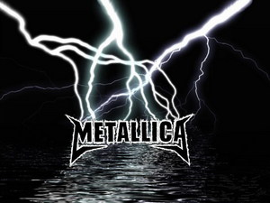 на концерт группы "Metallica"