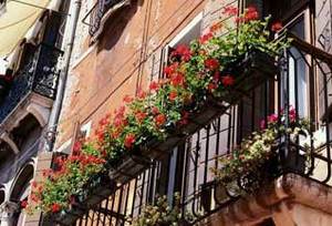 Подвесные горшочки с цветами на балкон