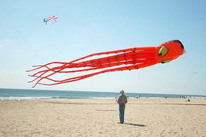 Octopus Kite