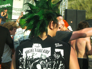 поехать на south punk 2010