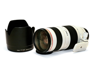 Canon EF 70-200mm f/2.8 L IS USM