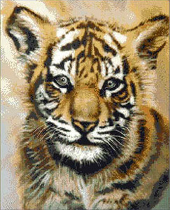 KK-JW-008 Тигренок