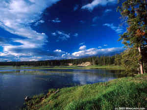 Национальный парк Йеллоустоун. Вайоминг, Монтана, Айдахо, США