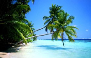 Отдохнуть на Карибах