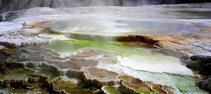 Yellowstone National Park