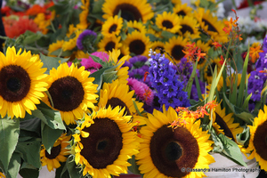 Huge bouqet of flowers