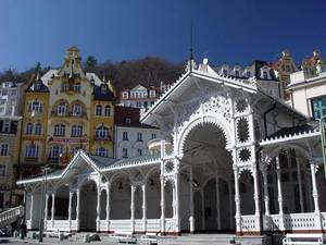 В Карловы Вары