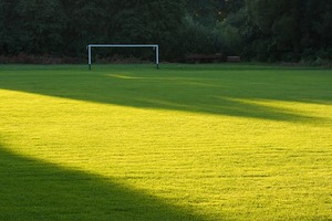 Поваляться с любимым на футбольном поле